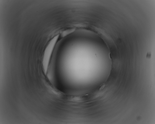 X0000094930383200712131543