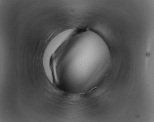 X0000094930384200712131543