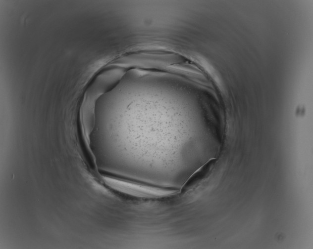 X0000094930385200712131542
