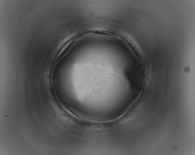 X0000094930386200712131542