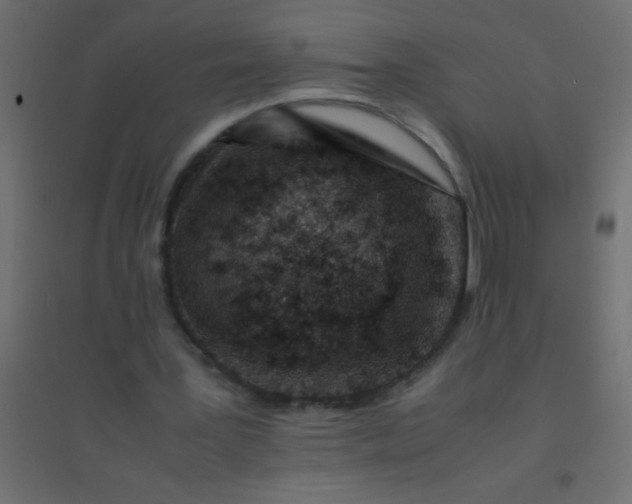 X0000094930387200712131542