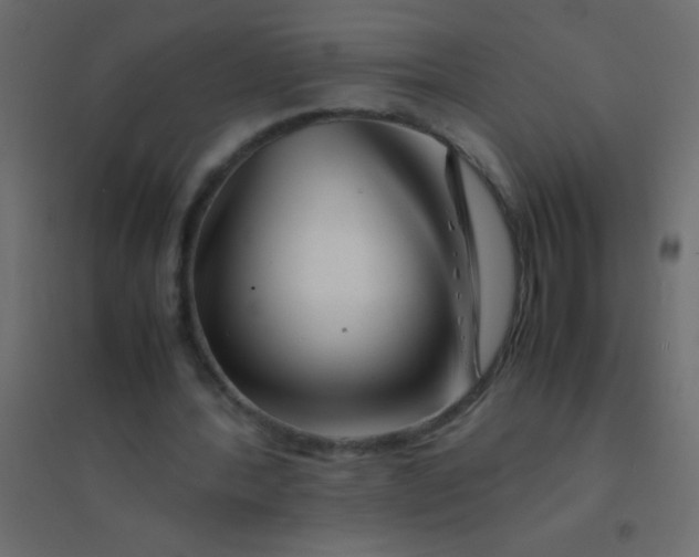 X0000094930388200712131542