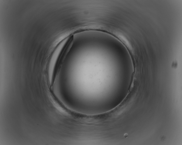 X0000094930389200712131542