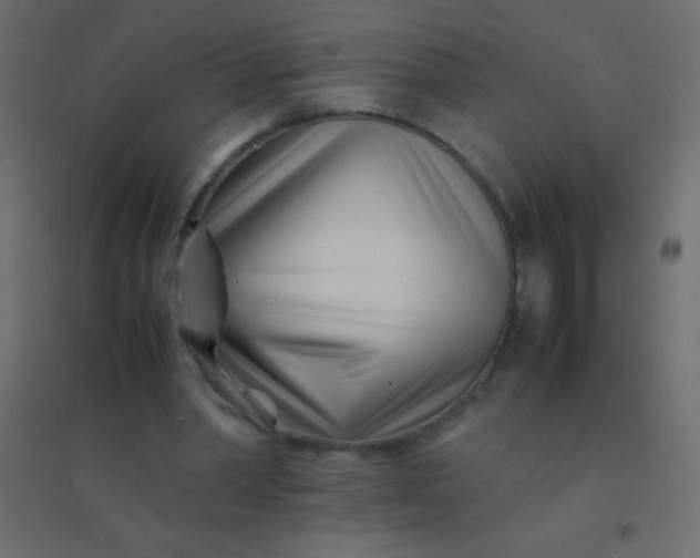 X0000094930390200712131542