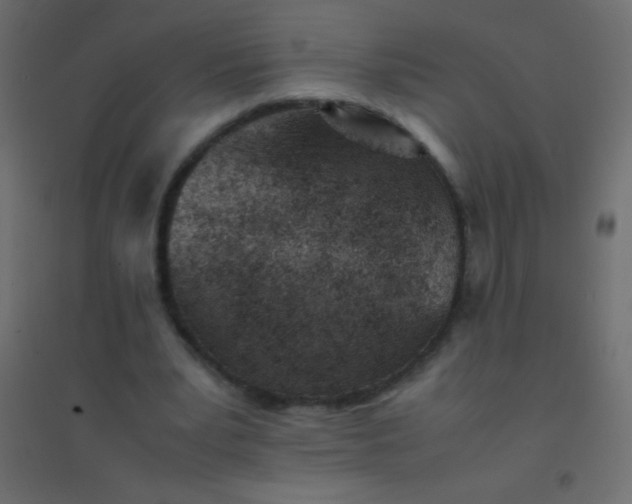 X0000094930391200712131542