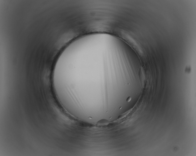 X0000094930394200712131542