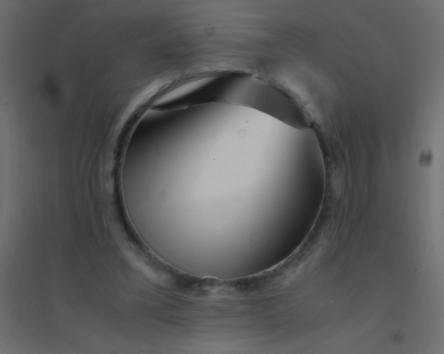 X0000094930395200712131542