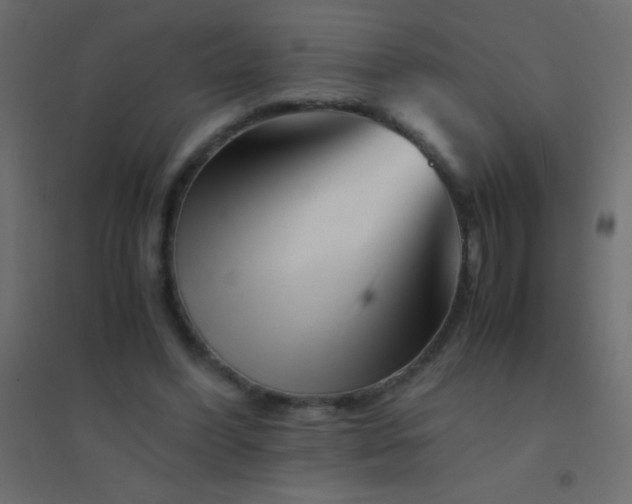 X0000094930396200712131542