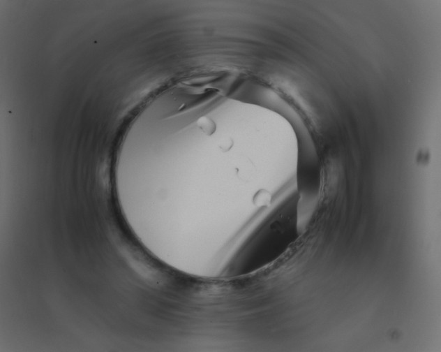 X0000094930398200712131542