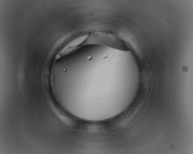 X0000094930400200712131542