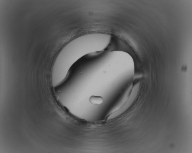X0000094930401200712131542