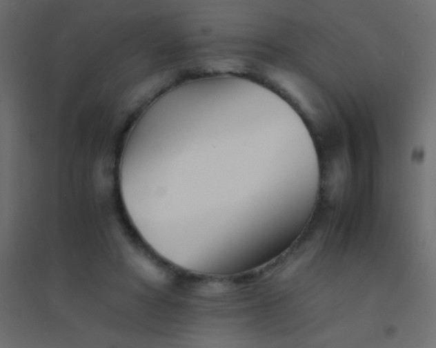 X0000094930402200712131542