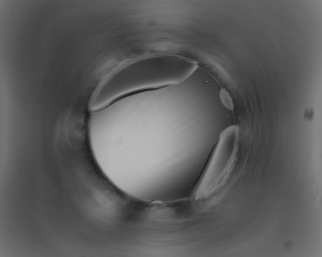 X0000094930403200712131542