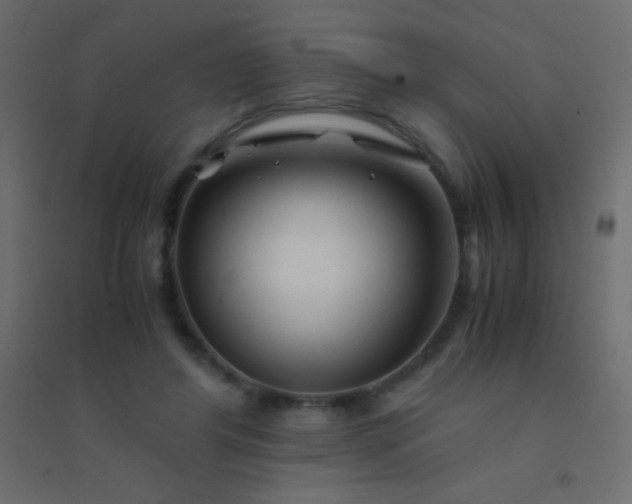 X0000094930404200712131542