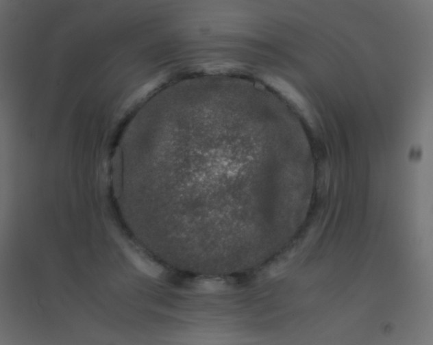 X0000094930405200712131542