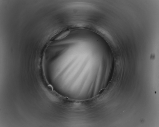 X0000094930406200712131542