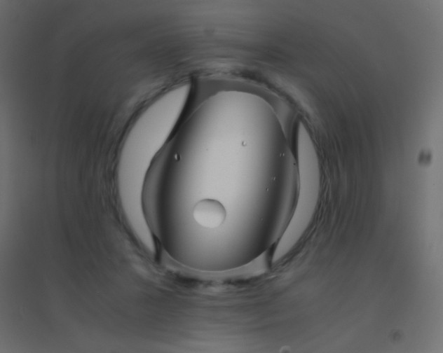 X0000094930407200712131542