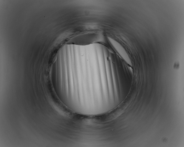 X0000094930408200712131542