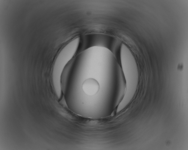 X0000094930409200712131542