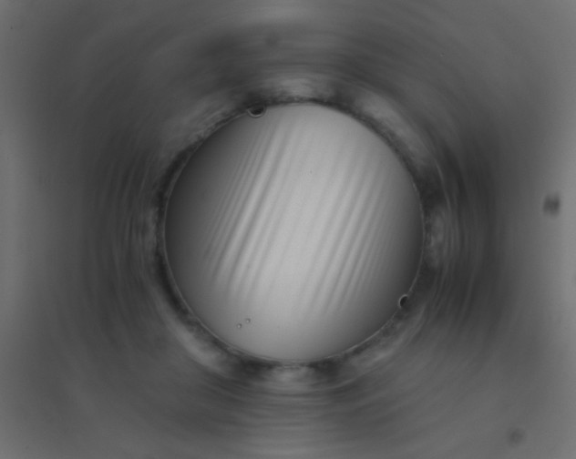X0000094930410200712131542