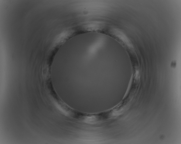 X0000094930411200712131542