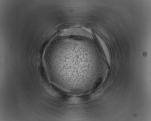 X0000094930413200712131542