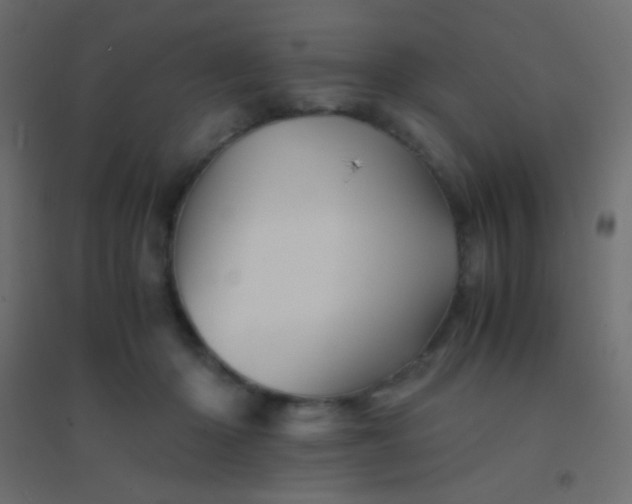 X0000094930414200712131542