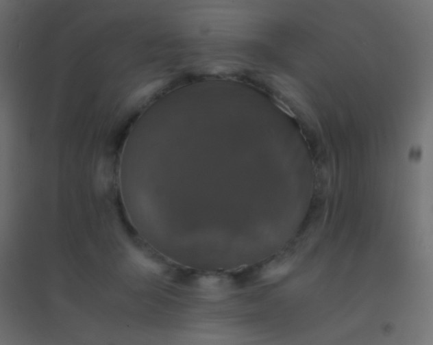 X0000094930415200712131542