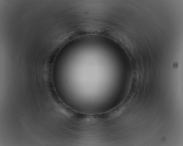 X0000094930416200712131542