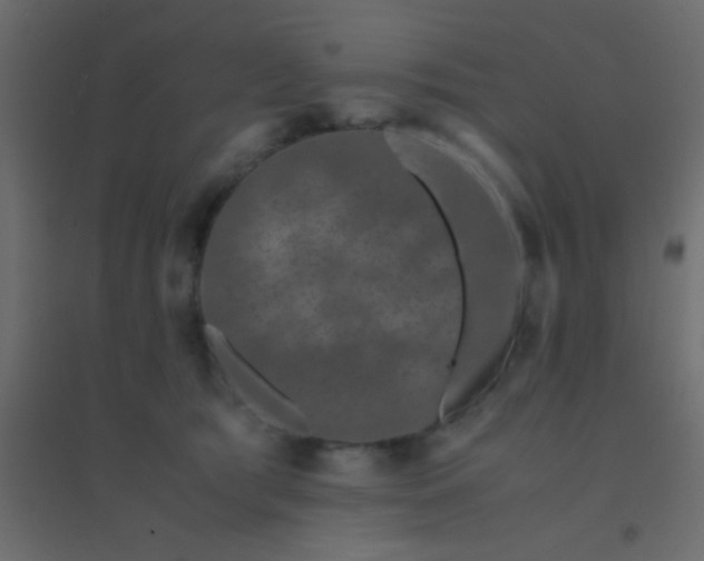 X0000094930417200712131542