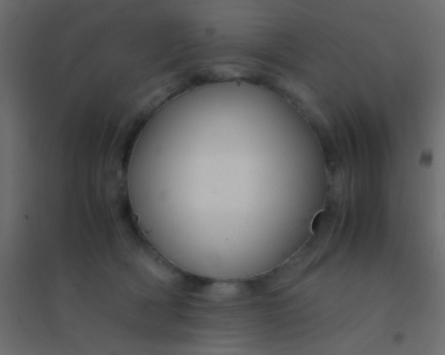 X0000094930418200712131542