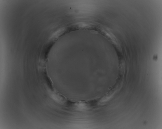 X0000094930419200712131542