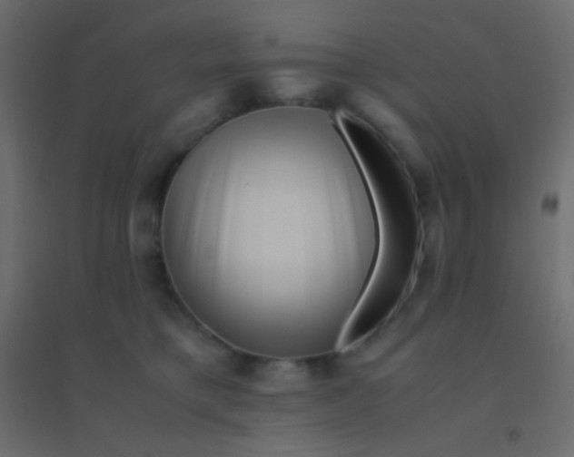X0000094930421200712131542