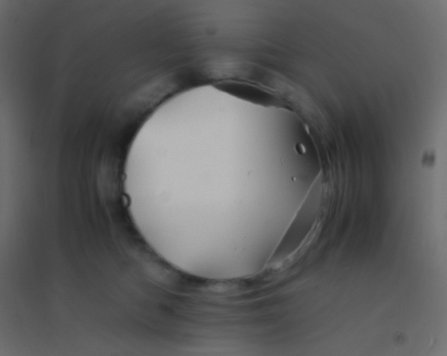 X0000094930422200712131542