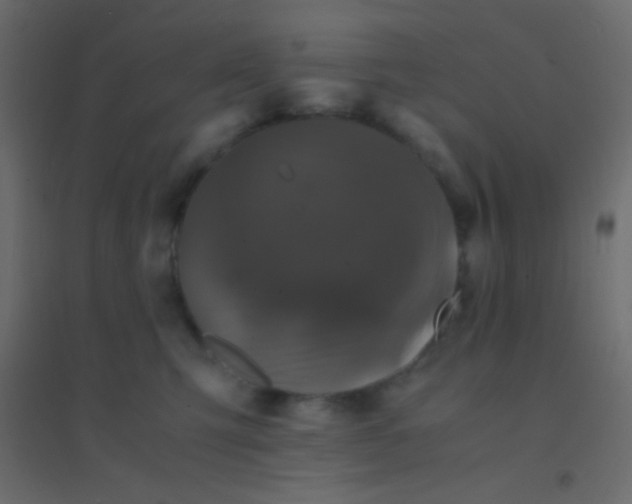 X0000094930423200712131541