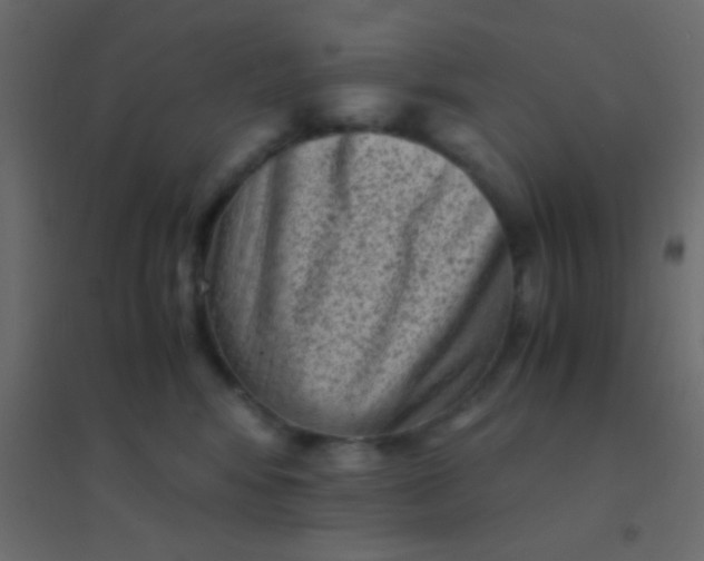X0000094930424200712131541