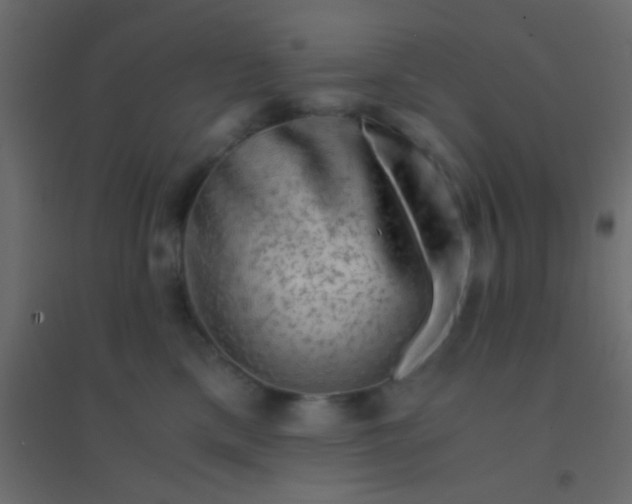 X0000094930425200712131541