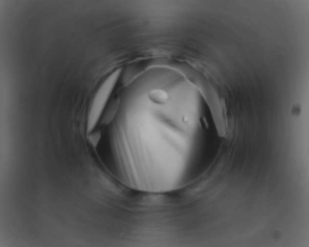X0000094930428200712131541