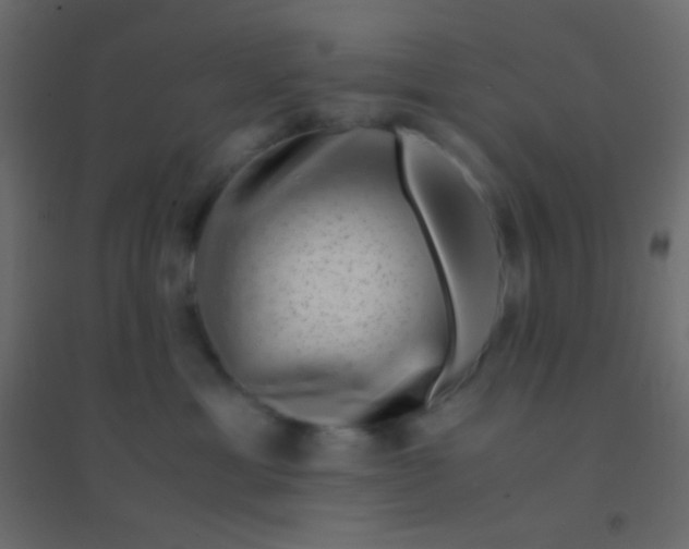 X0000094930429200712131541