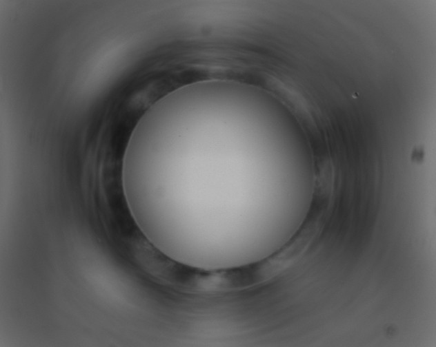 X0000094930430200712131541