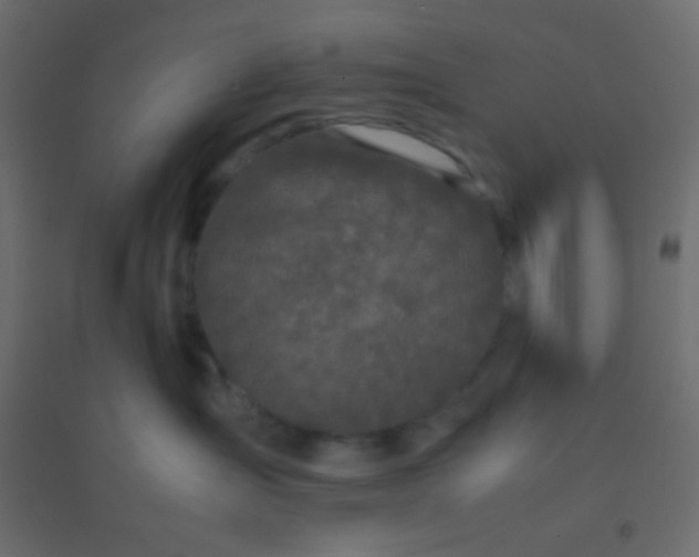 X0000094930431200712131541