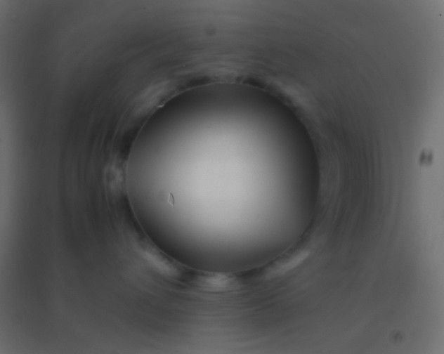 X0000094930432200712131541