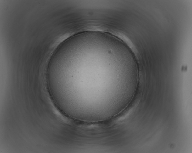 X0000094930433200712131541