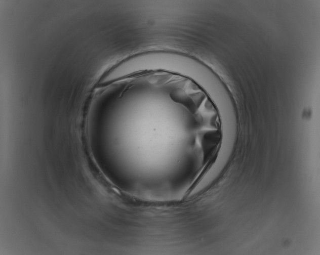 X0000094930434200712131541