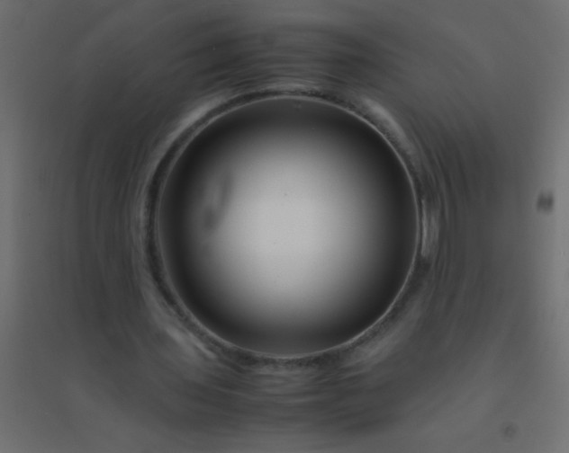 X0000094930435200712131541