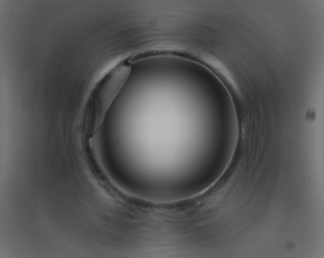 X0000094930436200712131541