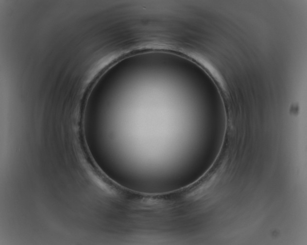 X0000094930437200712131541