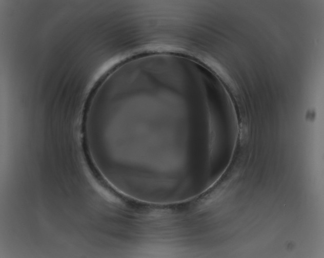 X0000094930438200712131541