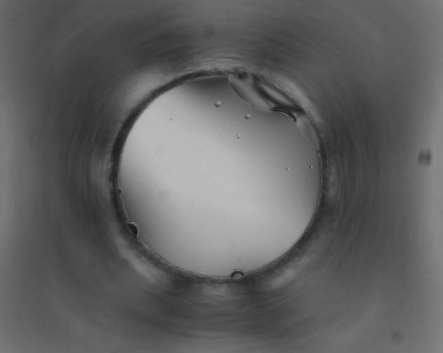 X0000094930439200712131541