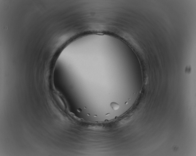X0000094930440200712131541